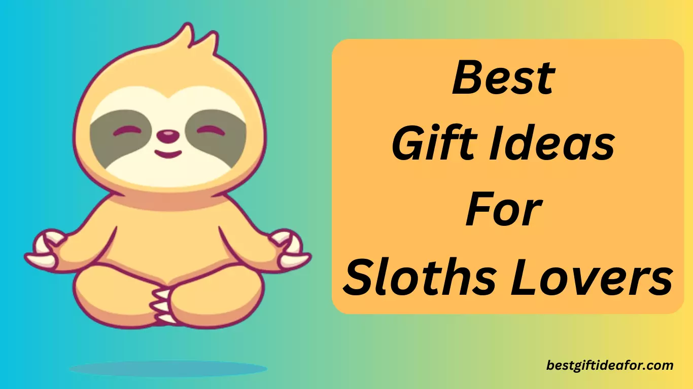 Best Gift Ideas For Sloths Lovers